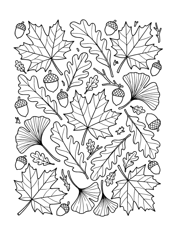Black and white line art of various autumn leaves including maple, oak, and ginkgo leaves with acorns.
