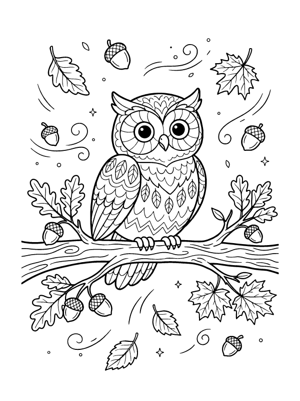 A line art coloring page of a stylized owl perched on a tree branch with acorns and falling leaves.