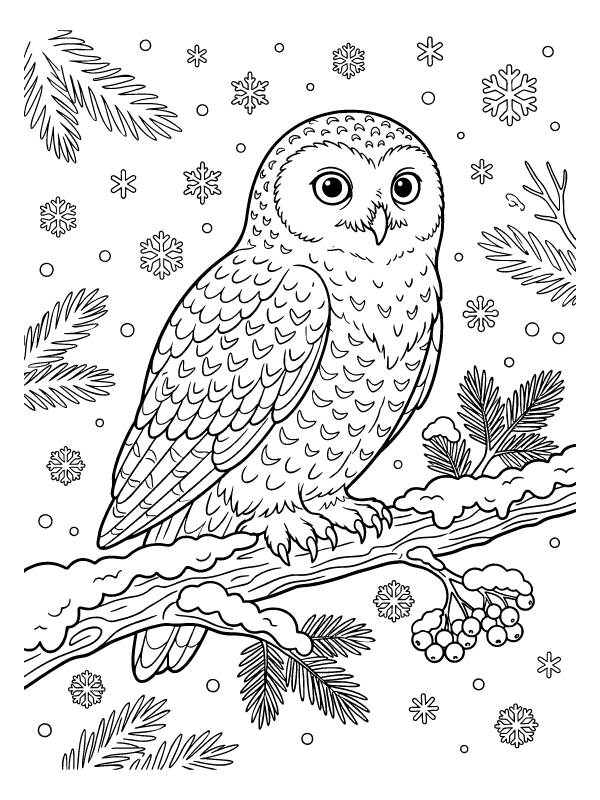 A line art drawing of a snowy owl perched on a snow-covered branch with snowflakes and pine needles in the background.