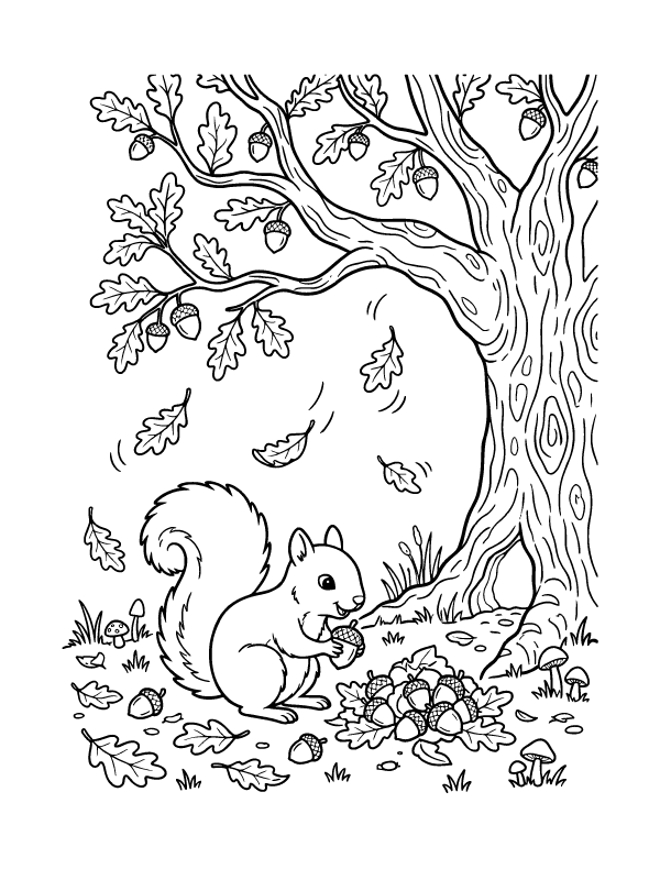 A line art drawing of a squirrel sitting on the ground holding an acorn near a large oak tree with many acorns.