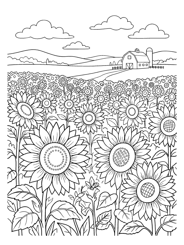 Line art of a sunflower field with large flowers in the foreground and a barn in the distance under clouds.